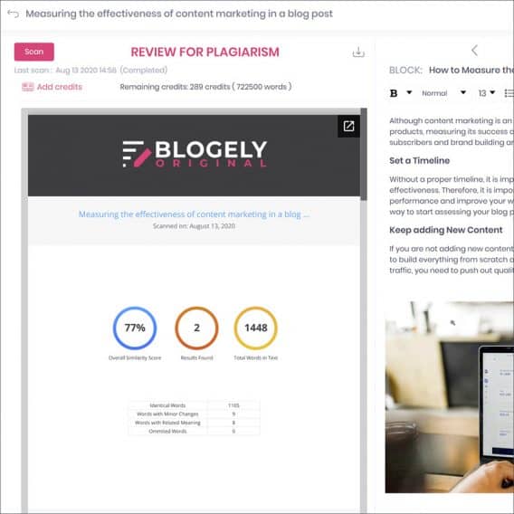Blogely-Plagiarism-Reports